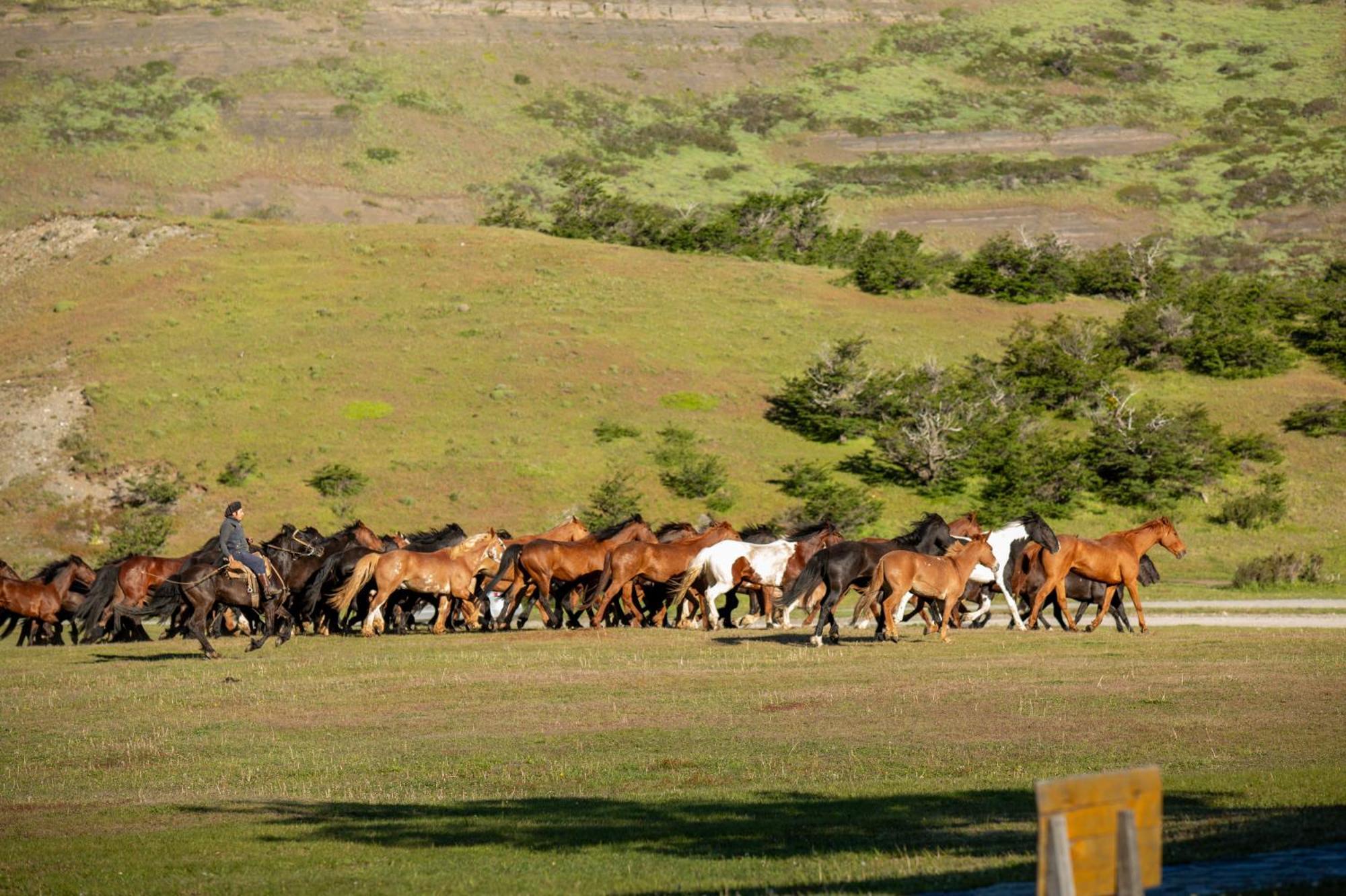 Hotel Las Torres Patagonia Torres del Paine National Park Exterior foto